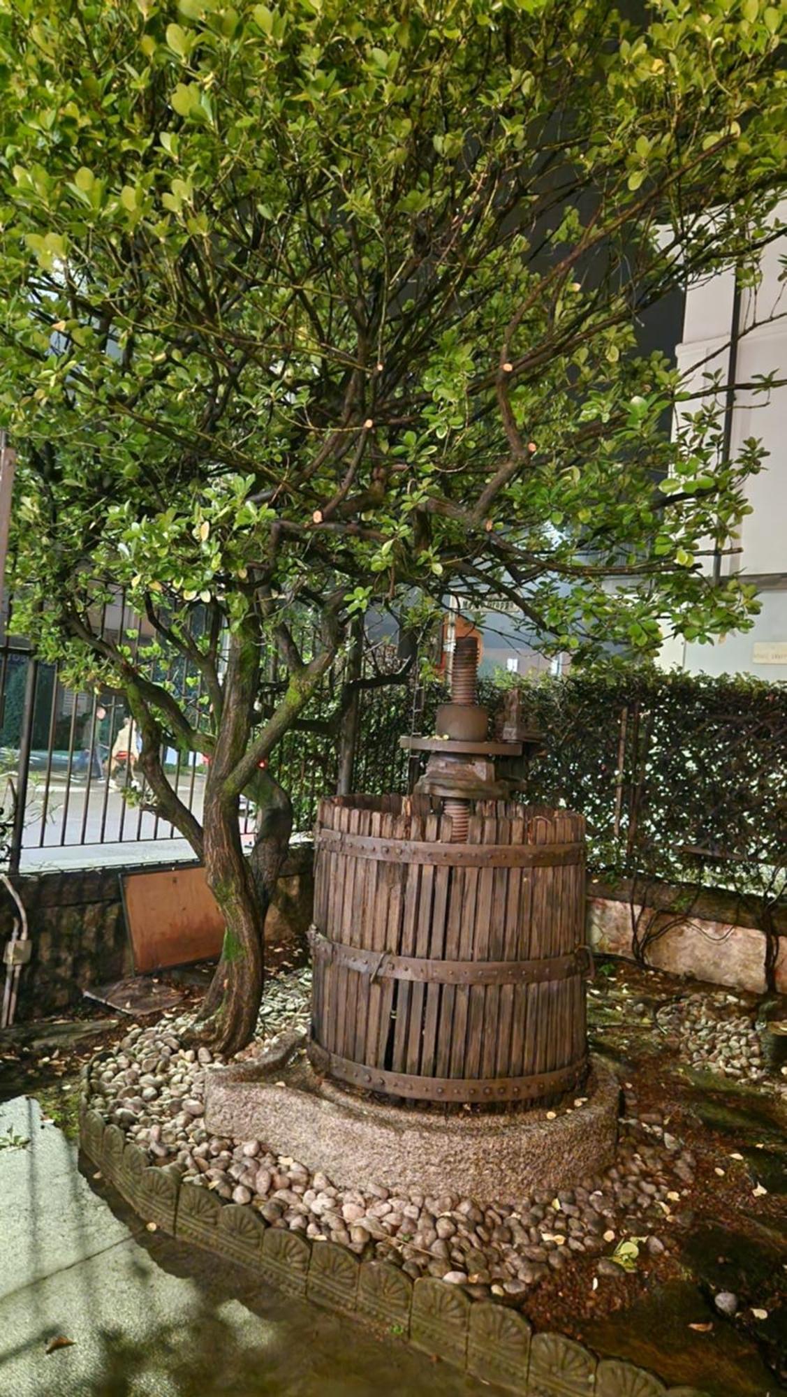 Villa Cavalleri Gattinara Exteriör bild